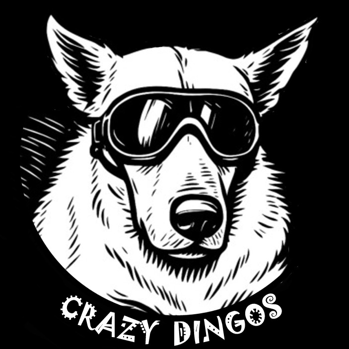 crazy dingos